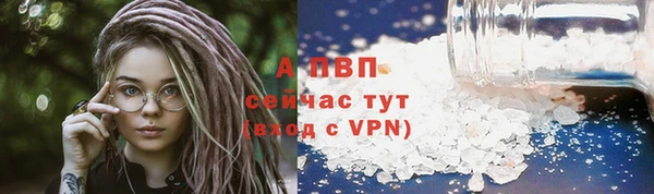 сатива Арсеньев