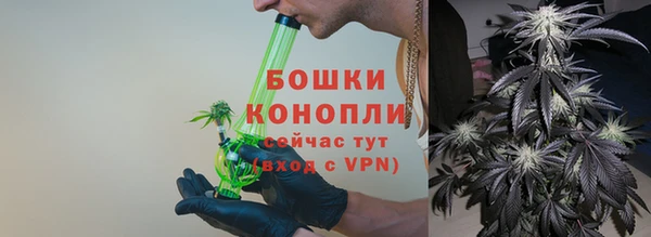 сатива Арсеньев
