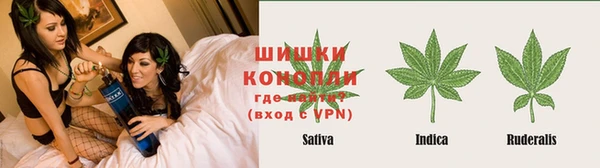 сатива Арсеньев