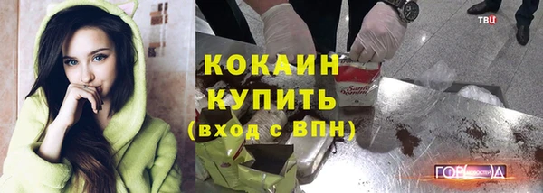 сатива Арсеньев