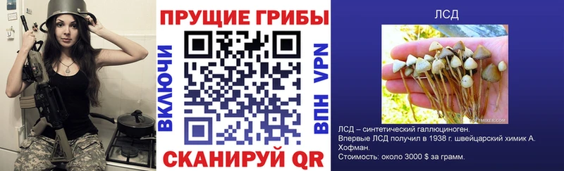 Псилоцибиновые грибы мицелий  Осташков 